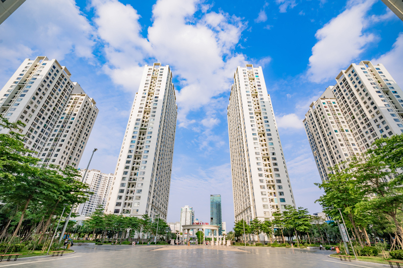 DIP Holding cung cấp giải pháp quản lý kinh doanh toàn diện cho sàn môi giới bất động sản Kim Tú Hoa